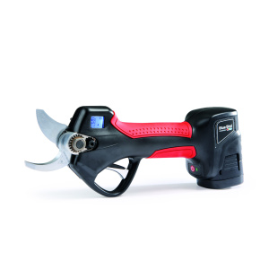 Colibri Natural Green SHOP