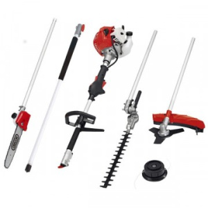 Colibri Natural Green SHOP